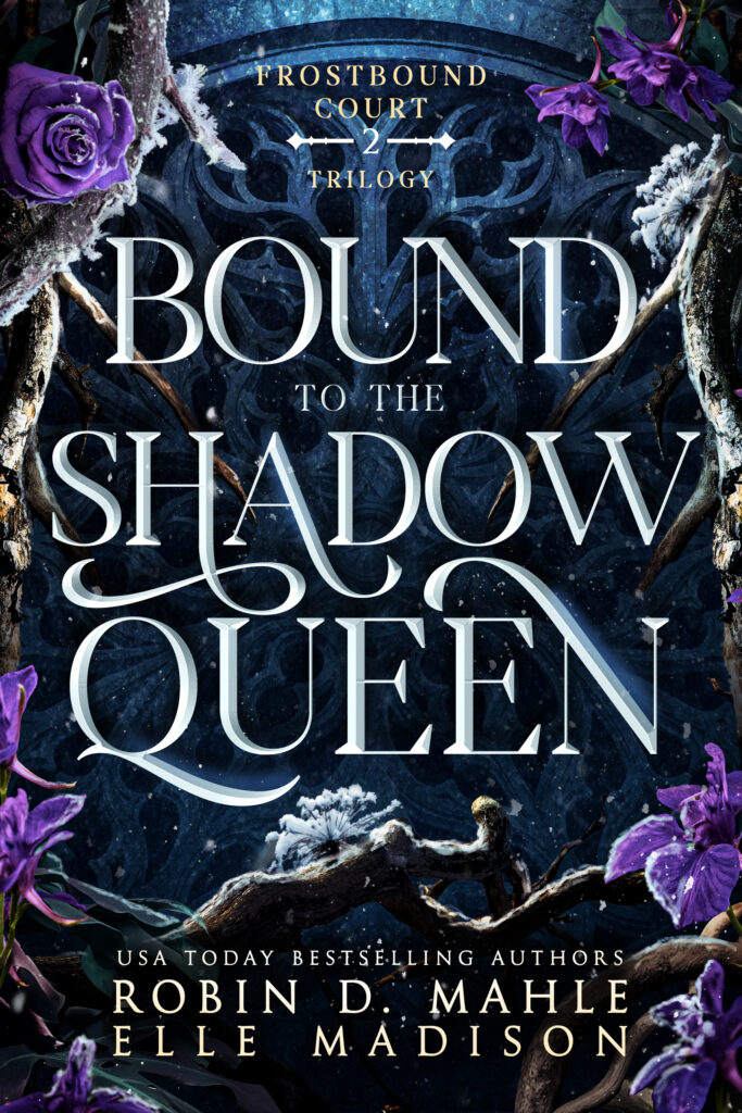 Bound to the shadow queen book cover